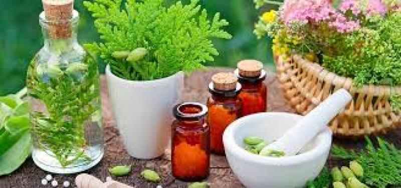Dhanyamla Dhara-An Ancient Ayurvedic Therapy